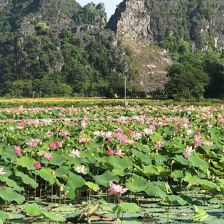Tam Coc - Thanh Homestay Ninh Bình Exteriör bild
