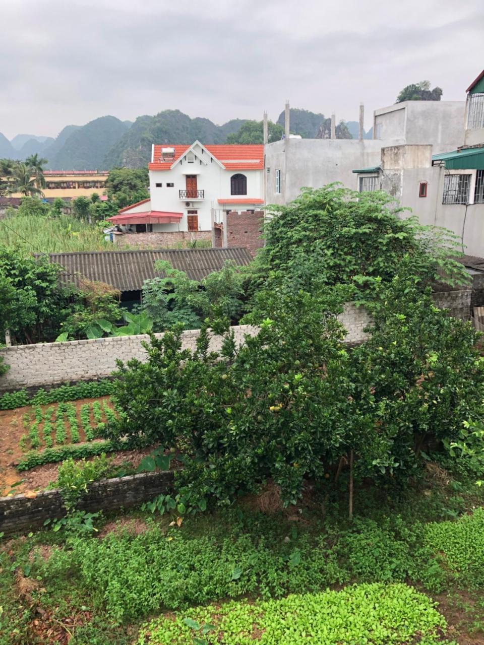 Tam Coc - Thanh Homestay Ninh Bình Exteriör bild