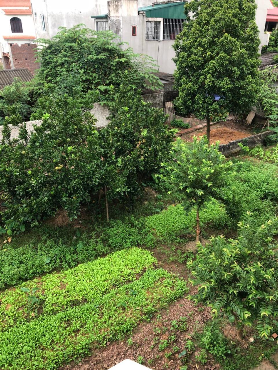 Tam Coc - Thanh Homestay Ninh Bình Exteriör bild